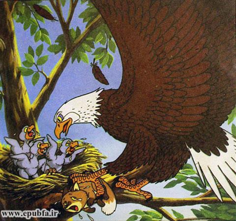 وقتی عقاب به لانهاش رسید، بچه روباه را به جوجههایش نشان داد.